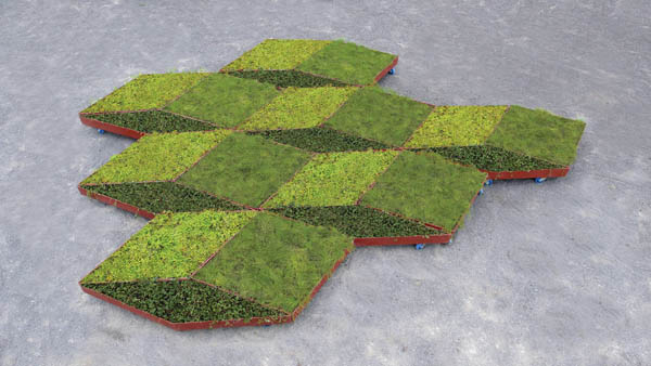 Fractal Garden by Legge Lewis Legge 3 Fabricating Informal Gardens: Diamond Shaped Garden On Wheels 