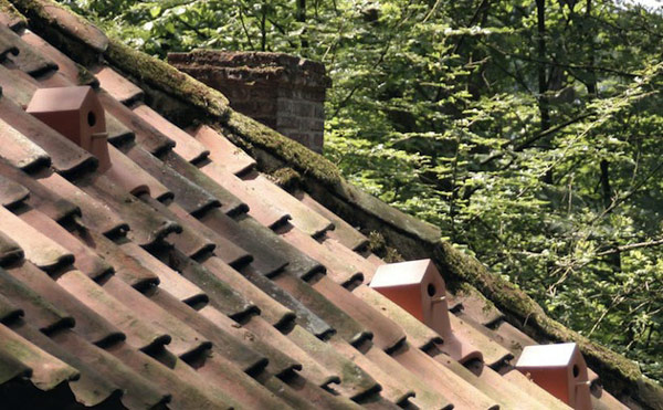 tiles roof birds Birdhouse Cleverly Integrated in Roof Design by Artist Klaas Kuiken