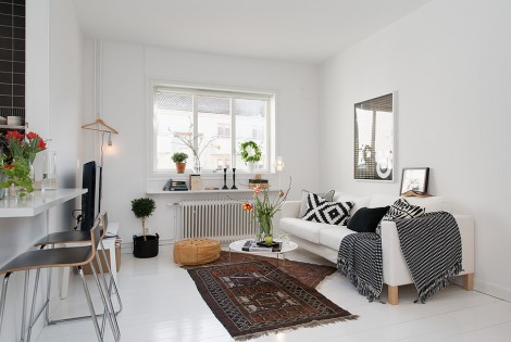 Gothenburg’s Exquisite Side: Small Apartment Tastefully Designed
